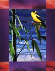 Goldfinch Glen Collage