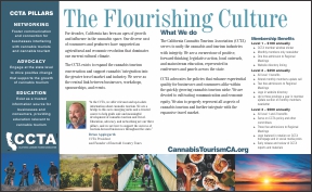 CCTA Brochure