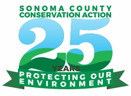 SCCA 25th Anniversary Logo