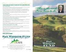 Wiggins Fund Brochure