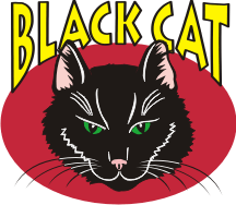 Black Cat Illustration