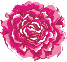 Single Peony Illustration
