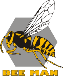 Yellow Jacket Illustration