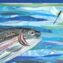 Salmon Collage