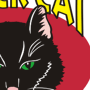 Black Cat Illustration