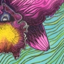 Cattleya Scratchboard Illustration