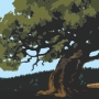 McGuire Oak Illustration
