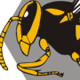 Yellow Jacket Illustration