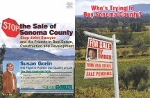 Gorin "For Sale" Brochure