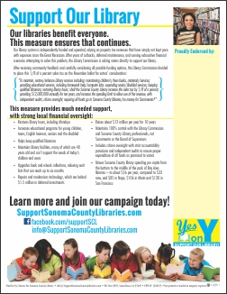 Yes on Y Fact Sheet