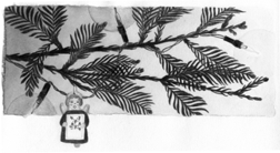 1996 Christmas Card